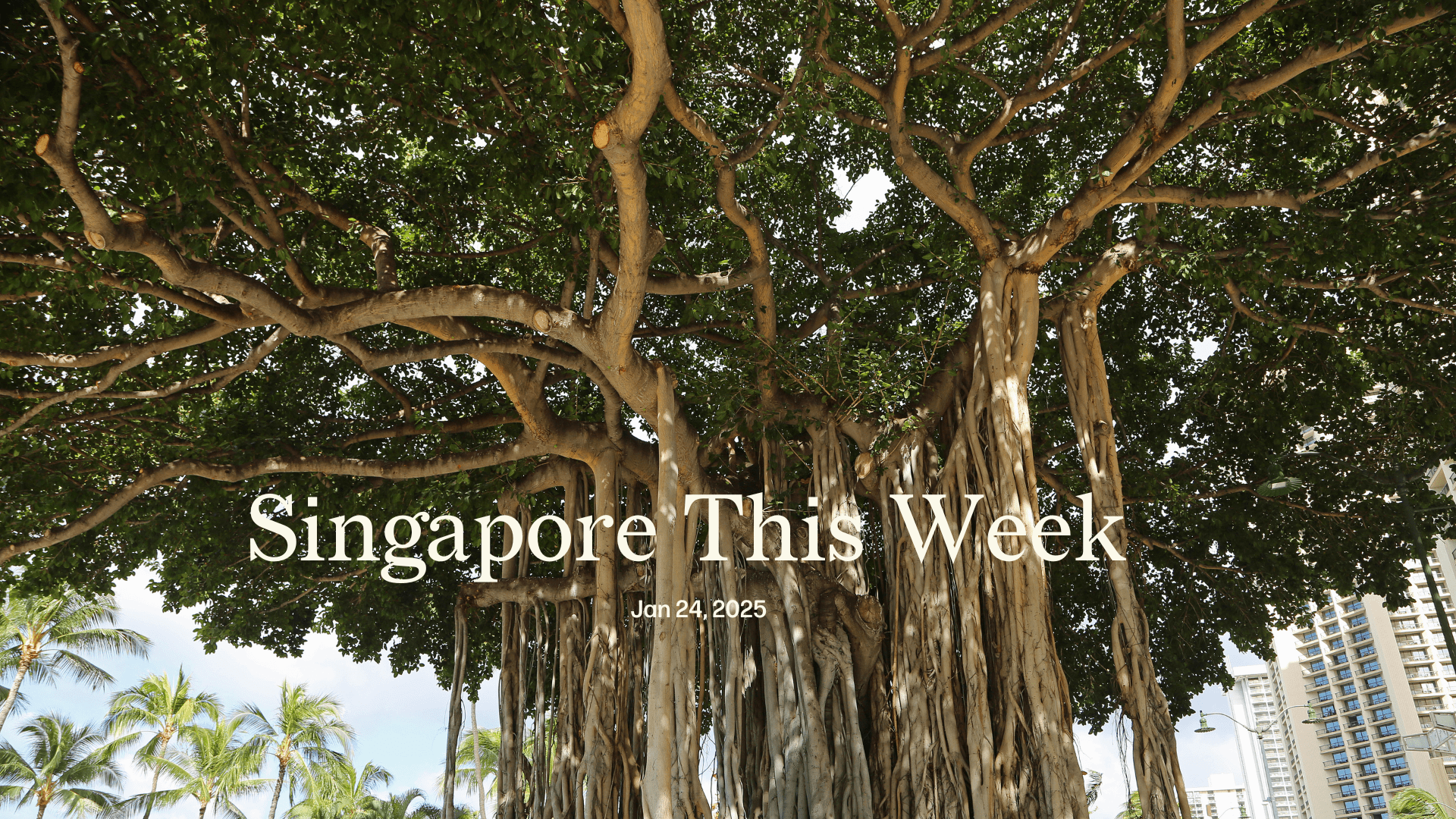 Singapore This Week